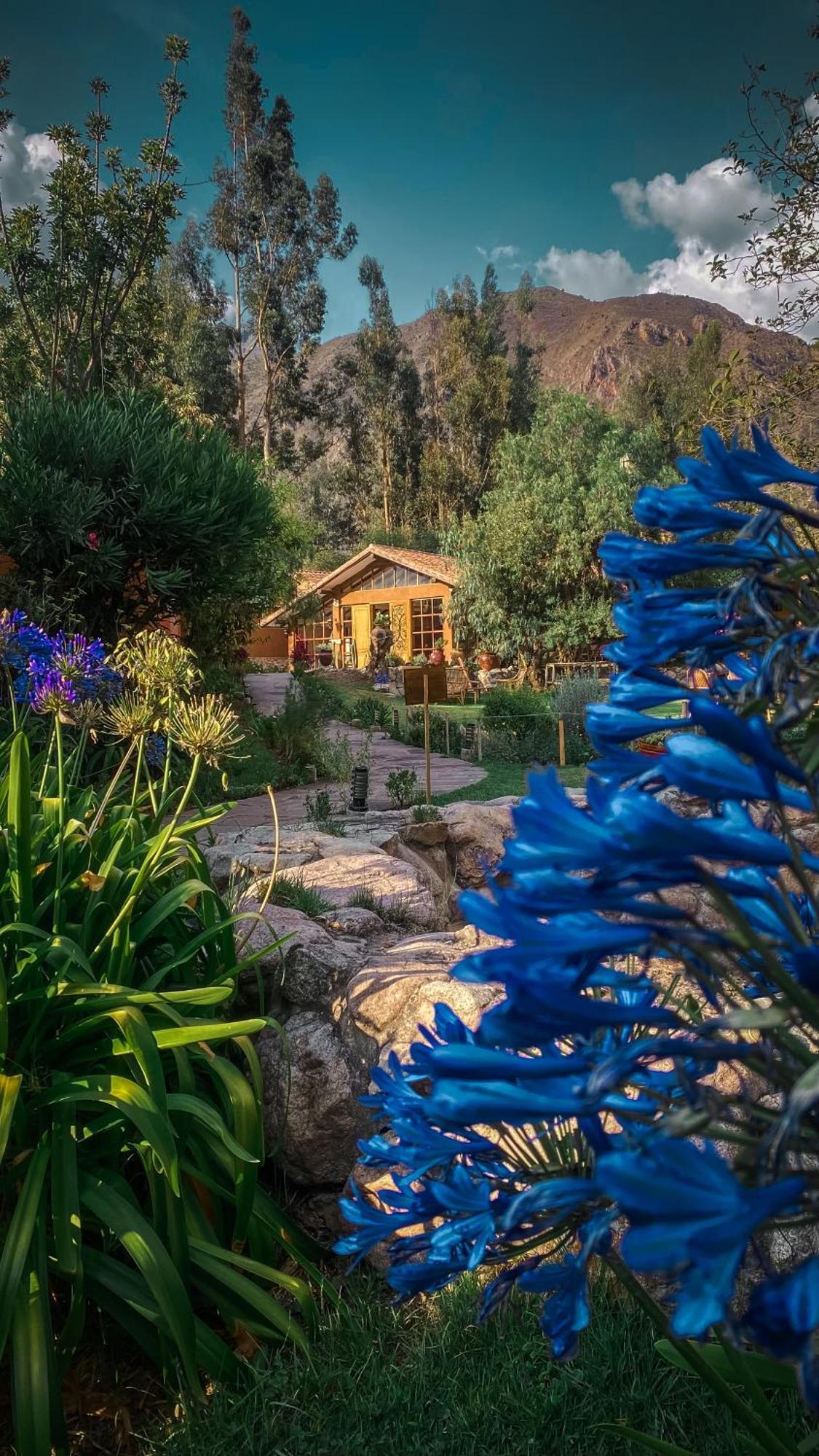 Andean Wings Valley Urubamba Exterior foto