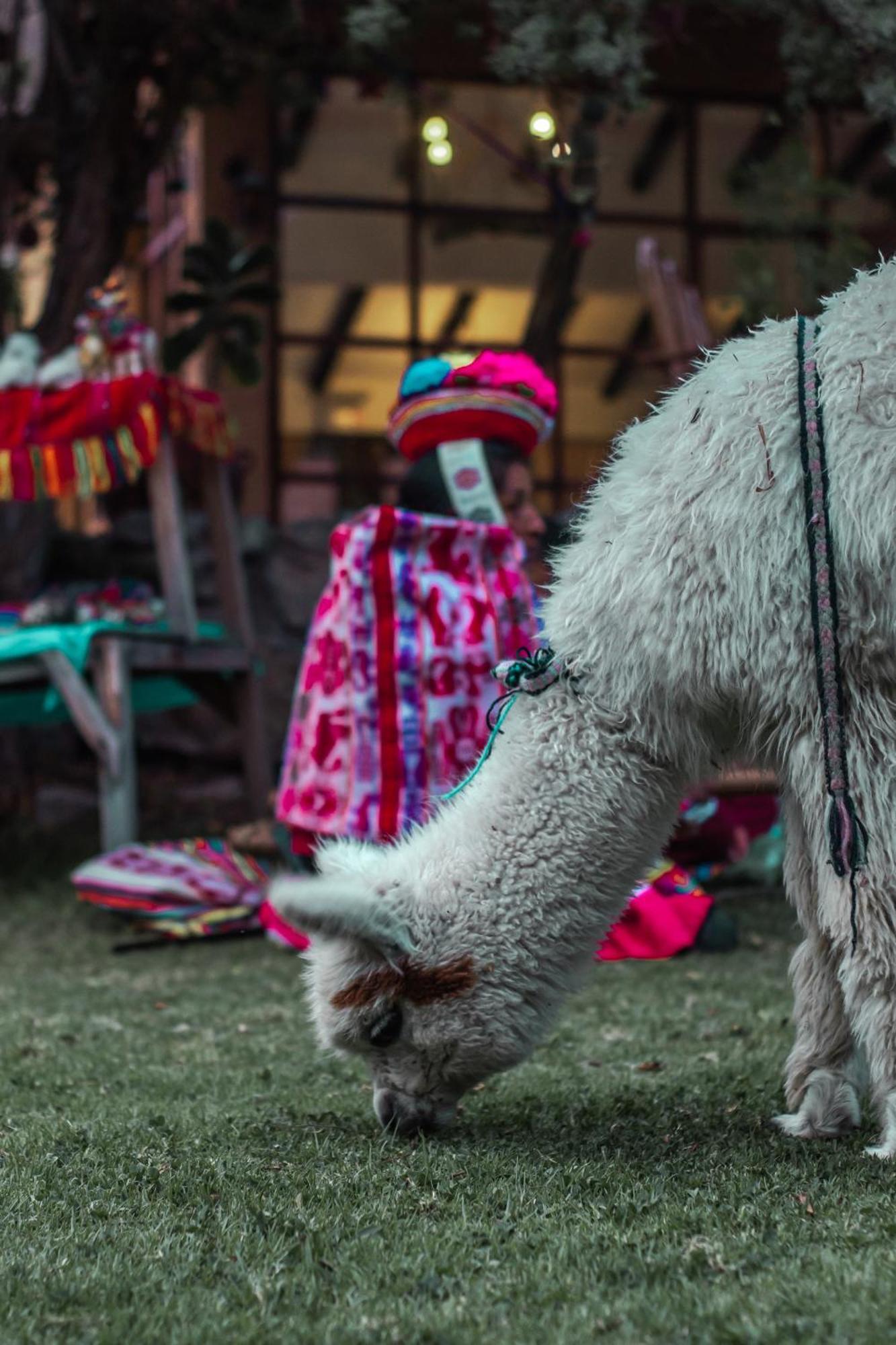 Andean Wings Valley Urubamba Exterior foto